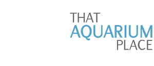 That Aquarium Place