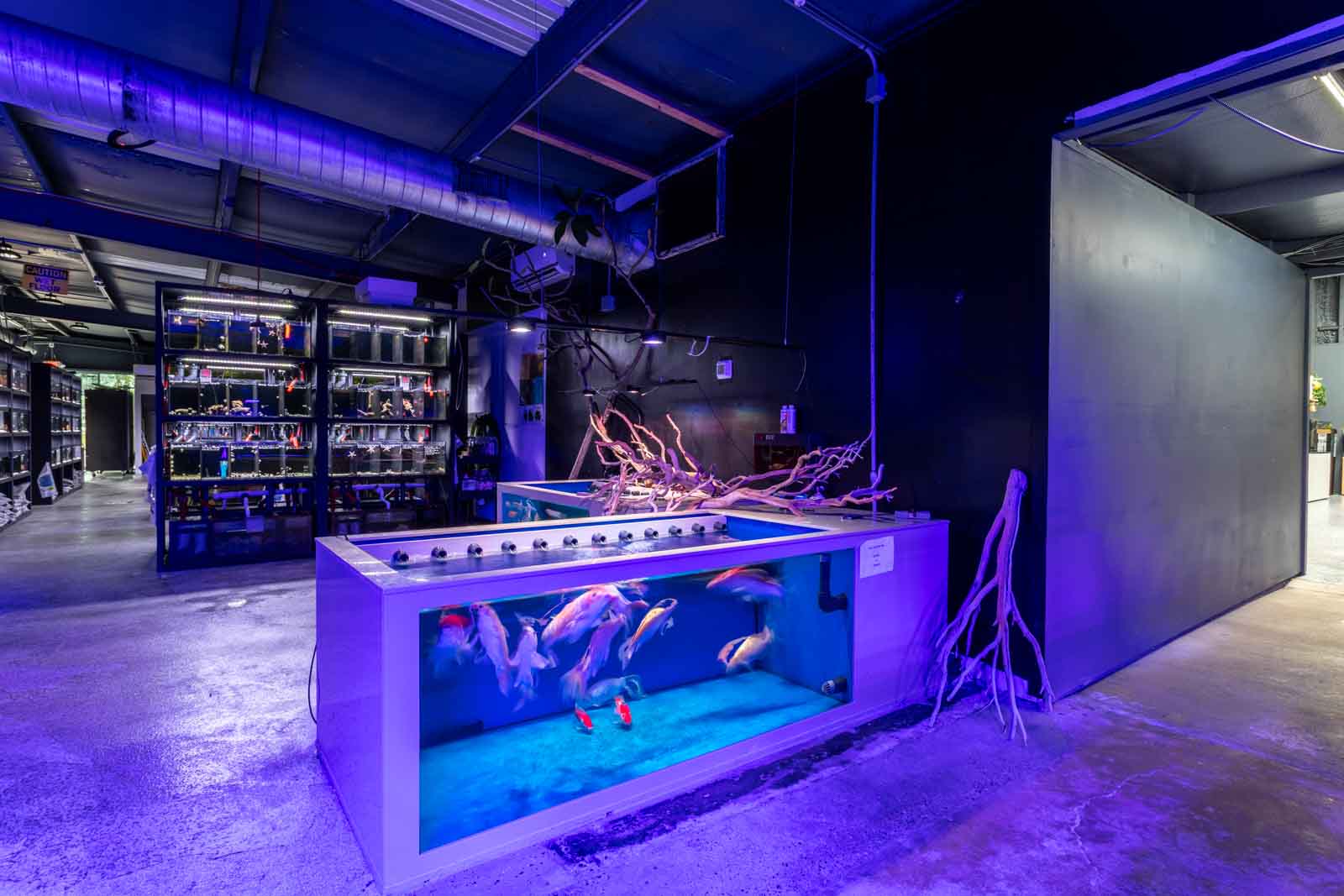 That Aquarium Place store photo
