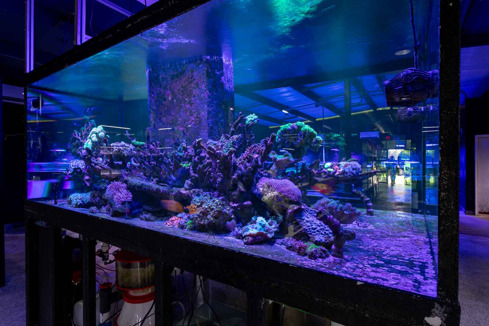 That Aquarium Place store photo