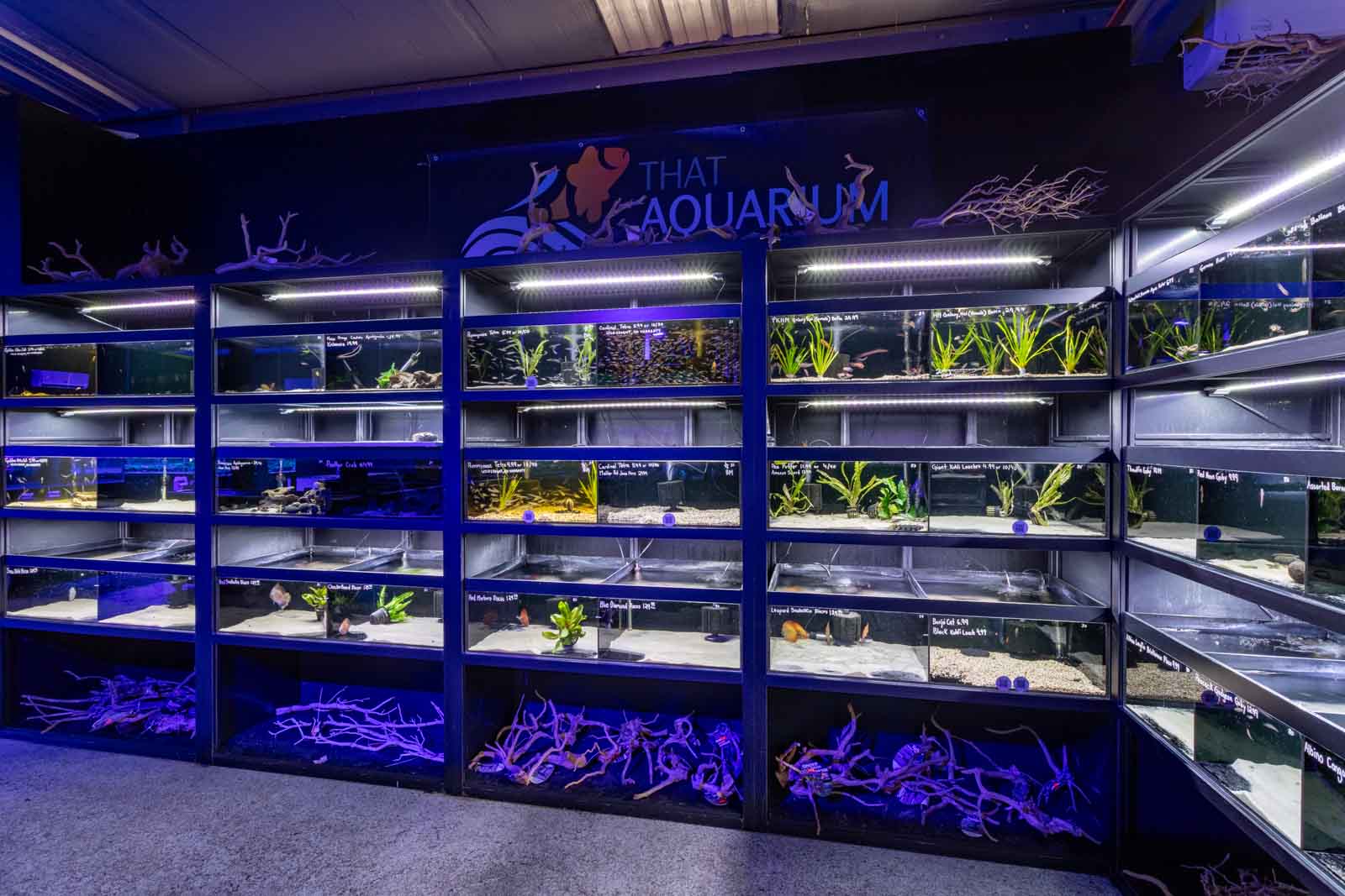 That Aquarium Place store photo